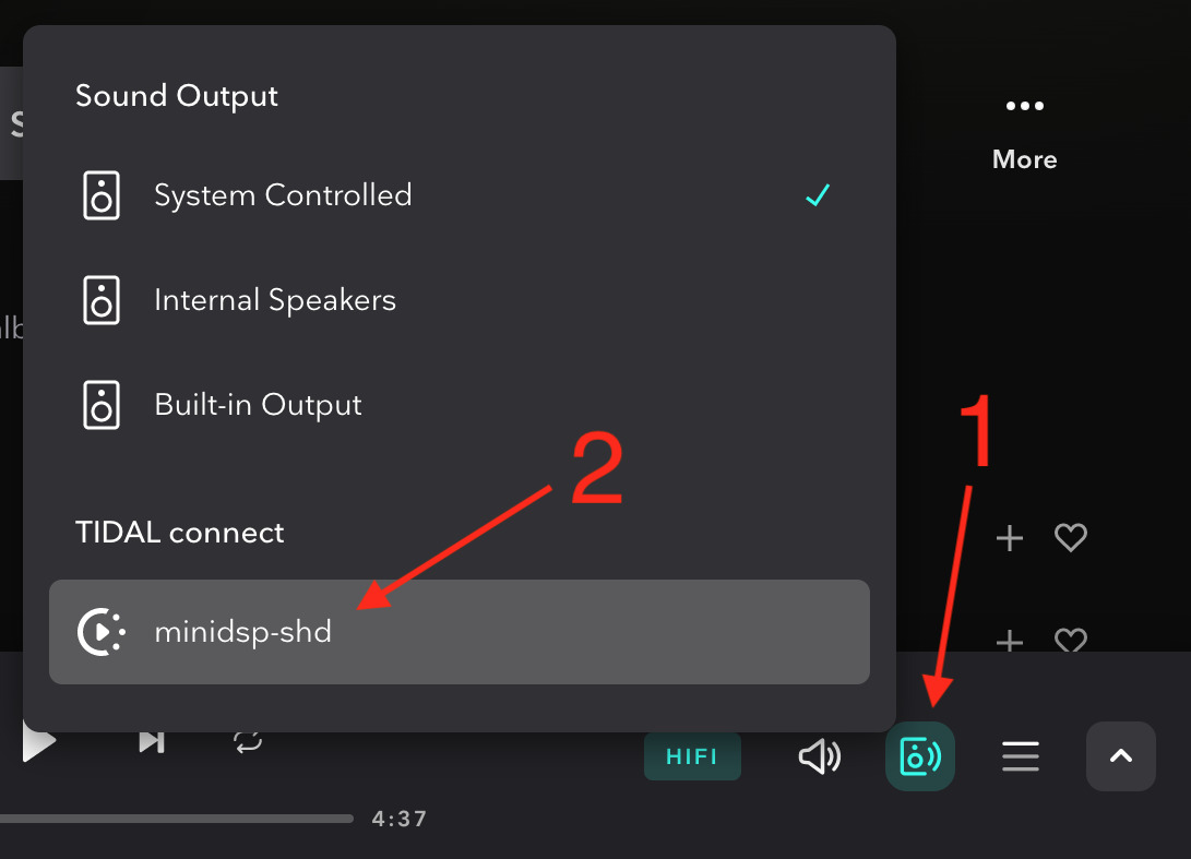 TIDAL Connect